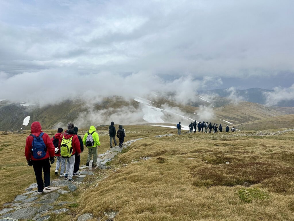 Camps and external providers